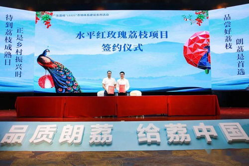 品質朗荔 給荔中國 2021第七屆中國·東莞互聯網荔枝節暨大朗荔枝品牌文化推廣盛大啟動