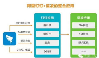 藍凌徐霞 互聯網產品，讓用戶覺得“爽”，應用方有“戲”